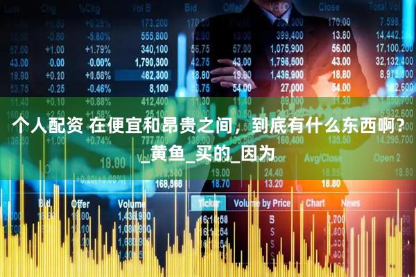 个人配资 在便宜和昂贵之间，到底有什么东西啊？_黄鱼_买的_因为