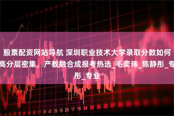 股票配资网站导航 深圳职业技术大学录取分数如何？高分层密集，产教融合成报考热选_毛奕玮_陈静彤_专业