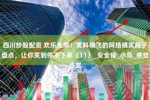 四川炒股配资 欢乐无限！笑料横飞的网络搞笑段子盘点，让你笑到停不下来（11）_安全帽_小鸟_感觉