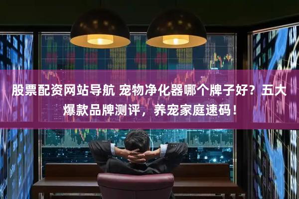 股票配资网站导航 宠物净化器哪个牌子好？五大爆款品牌测评，养宠家庭速码！